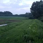 Nowhere