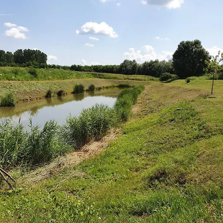 Nowhere Nyirmihalydi